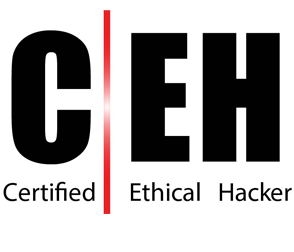 Certified Ethical Hacker Training Program | Certified Ethical Hacker Certification